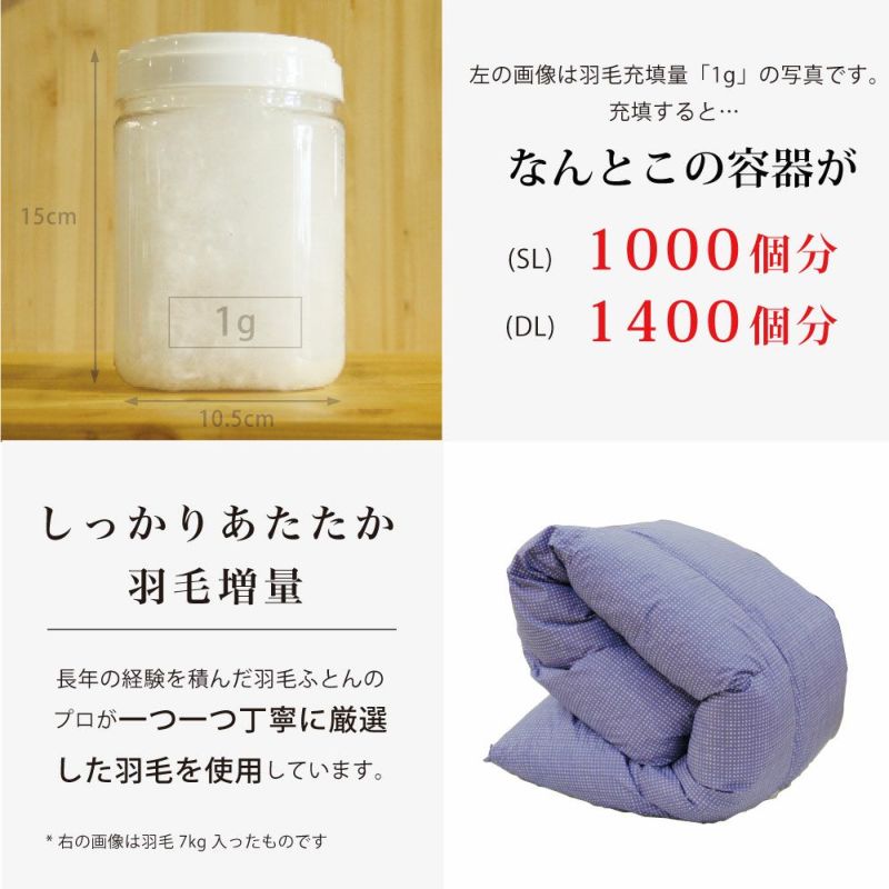 羽毛掛けふとん（エコダウン使用） シングル｜眠りの専門店マイ